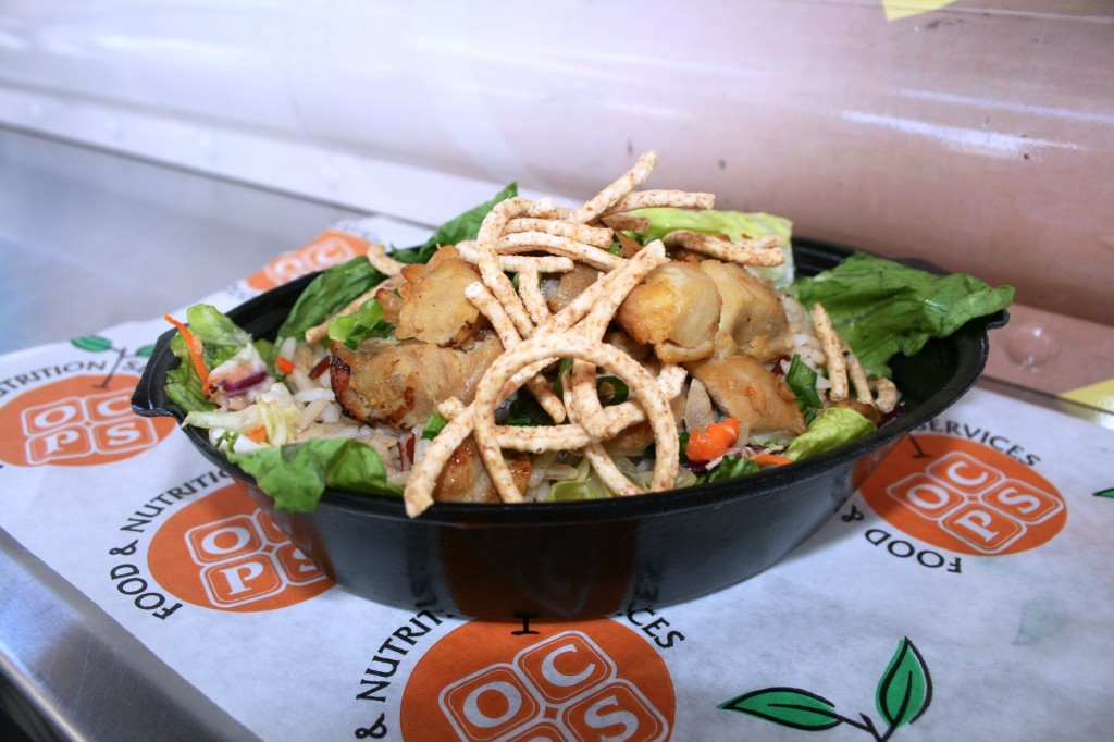 Warm Asian Chicken Salad