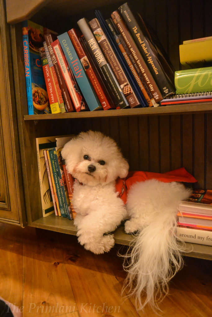 D is for Dogs: Indulging My Little One!