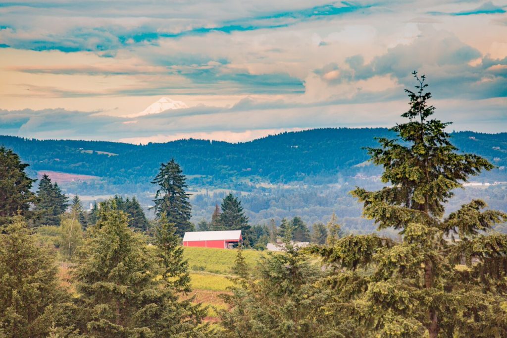 In Pursuit of Pinot Perfection: Oregon’s Willamette Valley! #wine