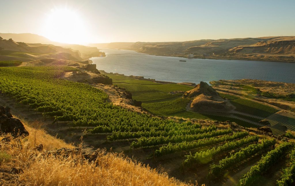 Twenty Reasons Why You Should be Drinking Wines of Washington with @Wa_State_Wine & @guildsomm #wine