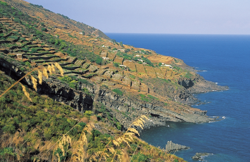 Spectacular Sicily: an Ecological Oasis of Sustainability & Fine Wine Production! #wine #sicily