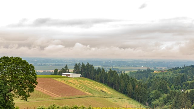 vimeo placeholder image