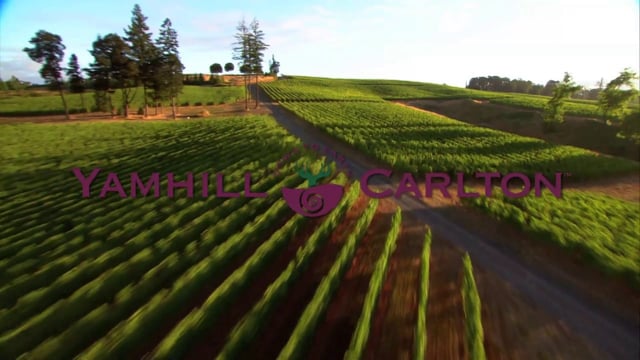 vimeo placeholder image