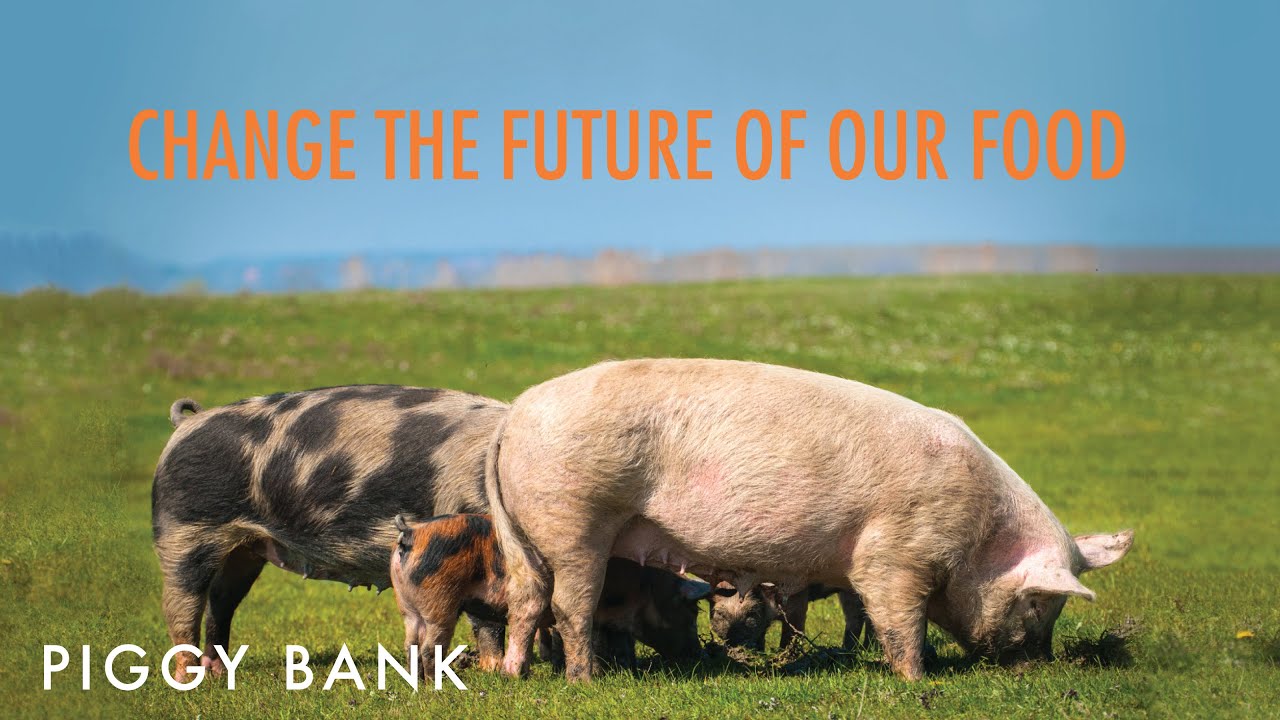 youtube placeholder image