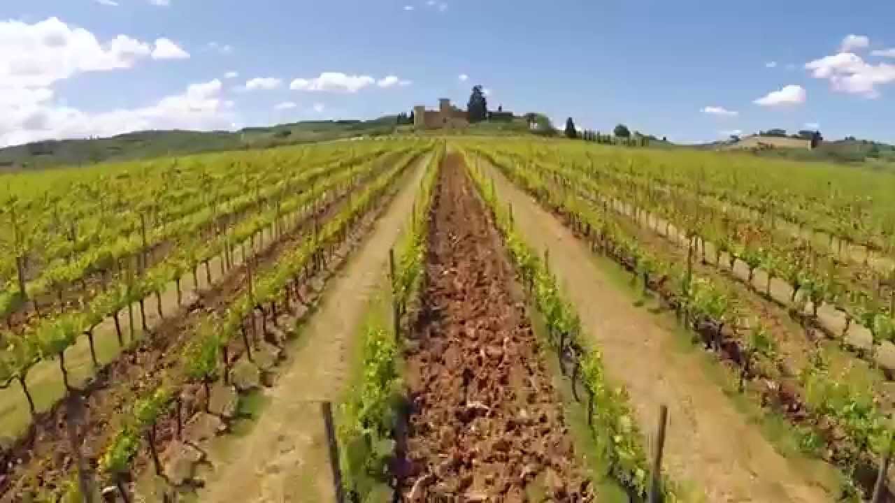 youtube placeholder image