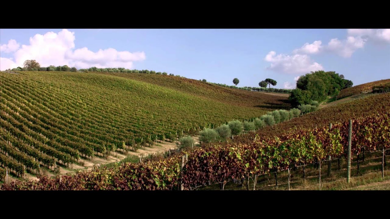 youtube placeholder image